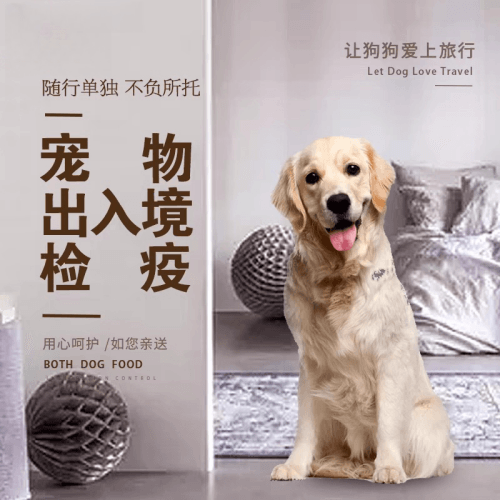 保山市宠物托运到哥伦比亚猫狗宠物入境规定和