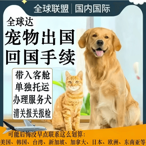 保山市宠物托运到柬埔寨宠物入境规定和要求