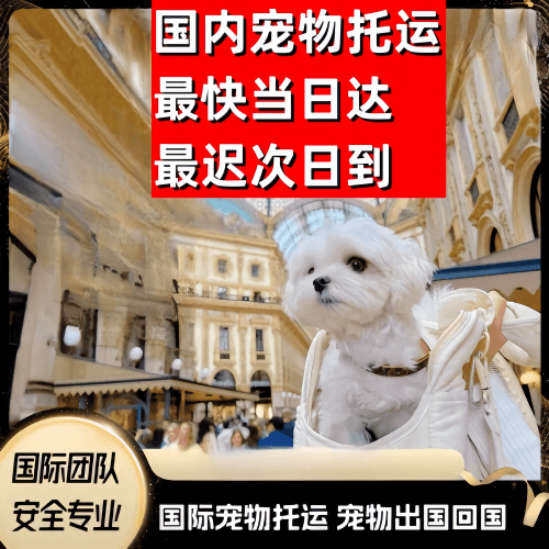 保山市到澳大利亚（澳洲）宠物入境规定和要求